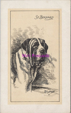 Animal Art Postcard - Prize Dogs - St Bernard   DZ348