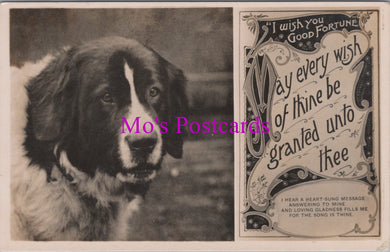 Animals Postcard - Dogs, St Bernard, I Wish You Good Fortune    DZ349