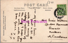 Load image into Gallery viewer, Animals Postcard - Dogs, St Bernard, I Wish You Good Fortune DZ349