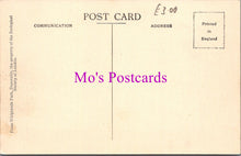 Load image into Gallery viewer, Animals Postcard - Flamingoes, Whipsnade Park DZ351