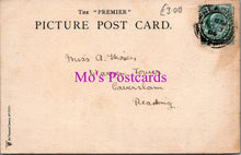 Load image into Gallery viewer, Animals Postcard - Pair of Donkeys at The Seaside DZ352