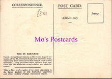 Load image into Gallery viewer, Animals Postcard - Dogs, The St Bernard DZ353