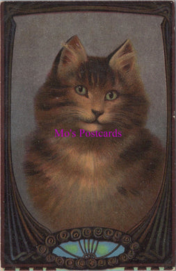 Animals Postcard - Cats, Pretty Kittens Series   DZ356