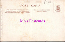 Load image into Gallery viewer, Animals Postcard - Cats, Pretty Kittens Series DZ356