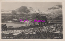 Load image into Gallery viewer, Norway Postcard - Reindeer, Finse, Vestland County SW14492