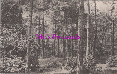 Scotland Postcard - The Woodlands, Dullatur   DZ265