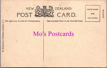 Load image into Gallery viewer, New Zealand Postcard - Ruakurl Caves, Waitomo  DZ269