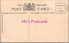Load image into Gallery viewer, New Zealand Postcard - Ruakurl Caves, Waitomo  DZ270