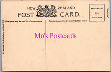 Load image into Gallery viewer, New Zealand Postcard - Ruakurl Caves, Waitomo  DZ271