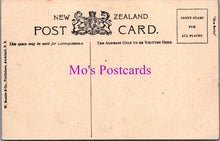 Load image into Gallery viewer, New Zealand Postcard - Ruakurl Caves, Waitomo  DZ272