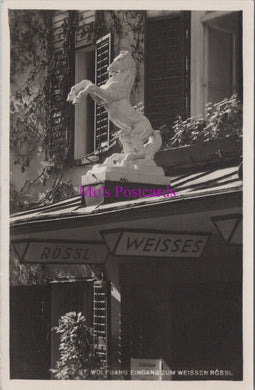 Austria Postcard - St Wolfgang Eingangzum Weissenrossl  DZ273