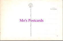 Load image into Gallery viewer, Austria Postcard - St Wolfgang Eingangzum Weissenrossl  DZ273