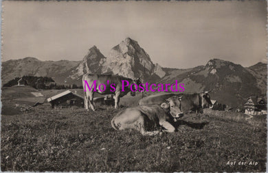 Animals Postcard - Swiss Cows, Auf Der Alps  DZ282