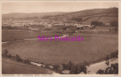 Wales Postcard - Carmarthen, The Horseshoe Bend, River Towy  DZ286