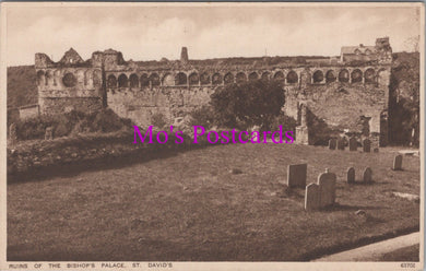 Wales Postcard - St David's, Ruins of The Bishop's Palace  SW14402