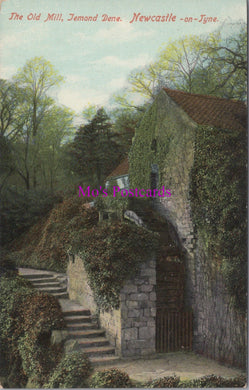 Northumberland Postcard -  The Old Mill, Jesmond Dene   SW14416