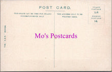 Load image into Gallery viewer, Northumberland Postcard - Jesmond Dene, Newcastle-on-Tyne   SW14417