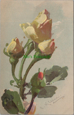 Nature Postcard - Flowers. Flower Art. Artist C.Kleine SW13756