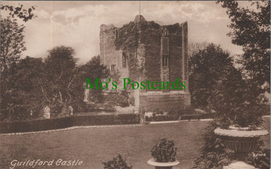 Surrey Postcard - Guildford Castle   SW13760