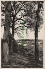 Load image into Gallery viewer, Surrey Postcard - Winkworth Arboretum SW13789
