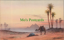 Load image into Gallery viewer, Egypt Postcard - Prayer in The Desert at Sunrise SW13794