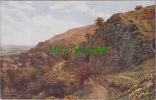 Load image into Gallery viewer, Worcestershire Postcard - Malvern, Ivy Scar Rock SW13898