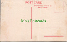 Load image into Gallery viewer, Animal Postcard - Blue Wilderbeeste Attacked By Hyaenas SW13993