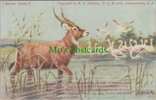 Load image into Gallery viewer, Animal Postcard - Waterbok and Flamingoes   SW13995
