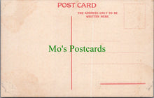 Load image into Gallery viewer, Animal Postcard - Baboon, Monkeys, South Africa  SW13998