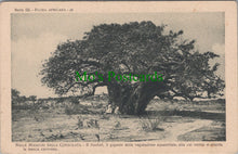 Load image into Gallery viewer, Africa Postcard - Nelle Missioni Della Consolata  SW14011

