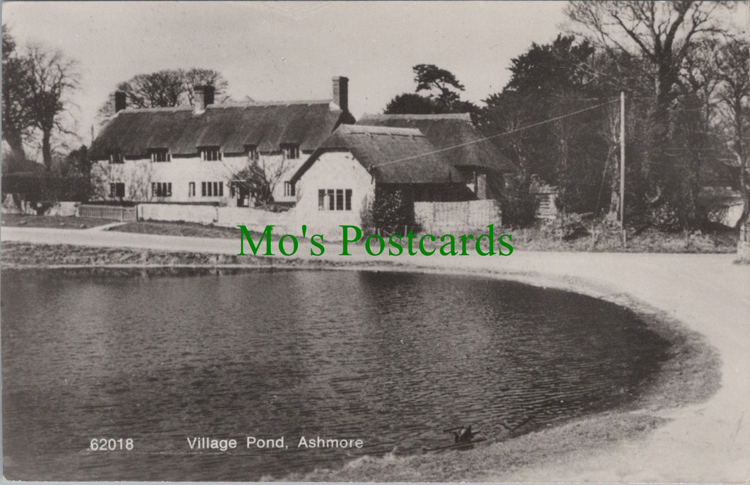 Dorset Postcard - Village Pond, Ashmore   SW14059
