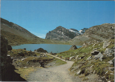 Switzerland Postcard - Daubensee Mit Daubenhorn  DC1756