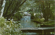 Load image into Gallery viewer, America Postcard - East Hampton, Long Island, New York  SW16535