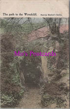 Load image into Gallery viewer, Wales Postcard - The Path To The Wyndcliff SW14501