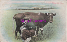 Load image into Gallery viewer, Animals Postcard - The Pretty Girl Milking Her Cow  DZ10