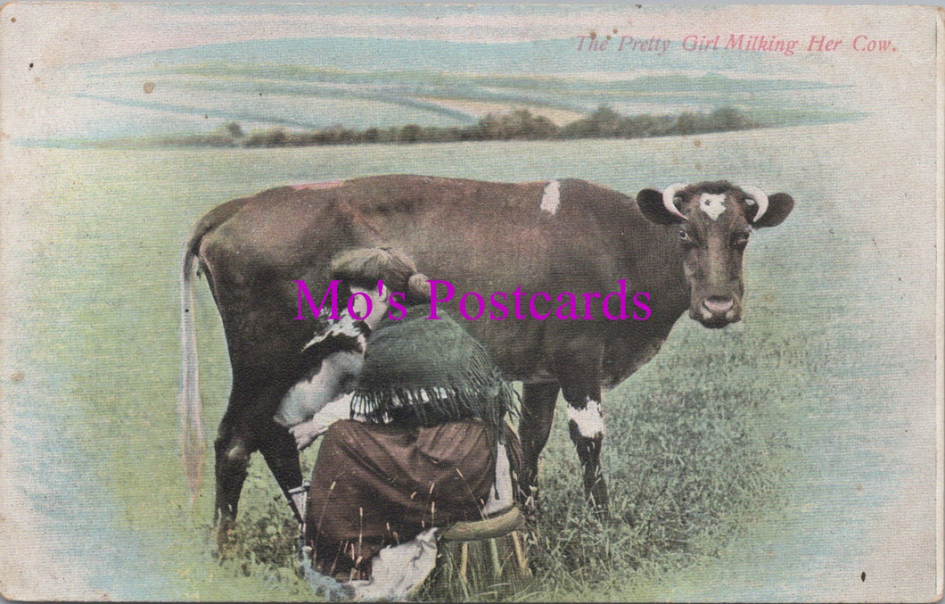 Animals Postcard - The Pretty Girl Milking Her Cow  DZ10