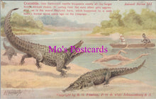 Load image into Gallery viewer, Animals Postcard - Crocodile, South Africa   DZ215
