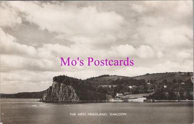 Devon Postcard - The Ness Headland, Shaldon  DZ253