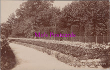 Load image into Gallery viewer, London Postcard - Bishops Park, Fulham  SW14873