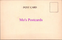 Load image into Gallery viewer, Worcestershire Postcard - The Manor House, Bewdley SW14876