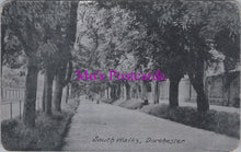 Load image into Gallery viewer, Dorset Postcard - South Walks, Dorchester   SW14905