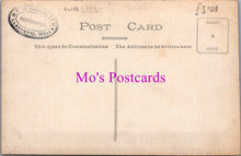 Load image into Gallery viewer, Wales Postcard - Dolecoed Park, Llanwrtyd Wells  SW14978