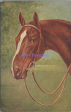 Load image into Gallery viewer, Animals Postcard -Horse. Artist George Rankin DZ104