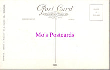 Load image into Gallery viewer, Animals Postcard - Two Cute Dogs Sat in a Basket SW15145