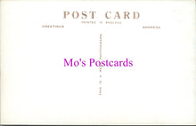 Load image into Gallery viewer, Hampshire Postcard - New Forest, Ornamental Drive, Brinkenwood SW15194