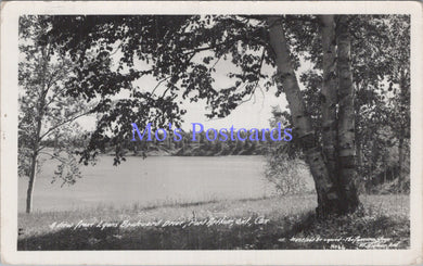 Canada Postcard - View From Lyons Boulevard Drive, Port Arthur  DC1934
