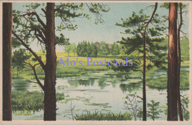 Estonia Postcard - Vorumaa, Võru County   DC1937
