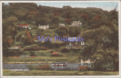 Herefordshire Postcard - Symonds Yat   DC1910