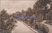 Load image into Gallery viewer, Cornwall Postcard - Newquay, Trenance Gardens   DC1871