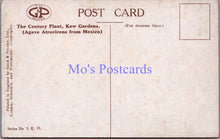 Load image into Gallery viewer, London Postcard - Kew Gardens, The Century Plant   SW14374